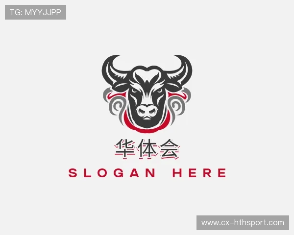 解读华体会平台